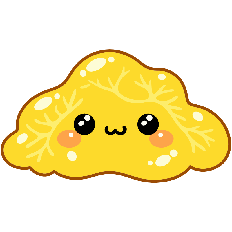Kit Blob Solo